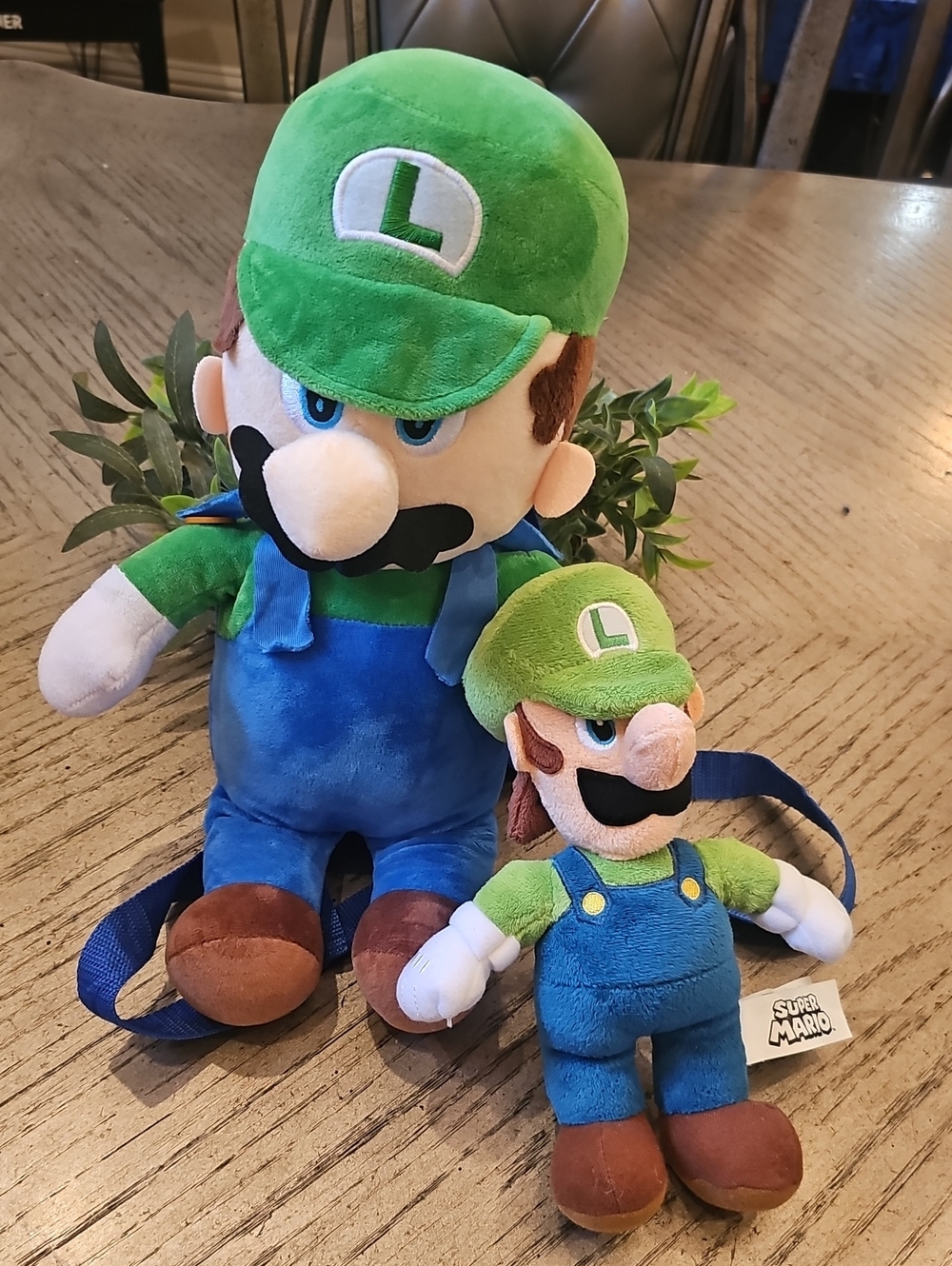 Luigi Plush Backpack And Stuffy